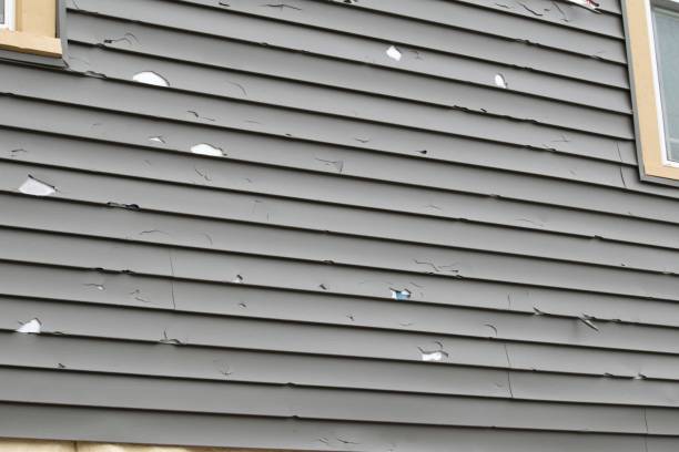 Best Residential Vinyl Siding Installation  in Beverly Hills, CA